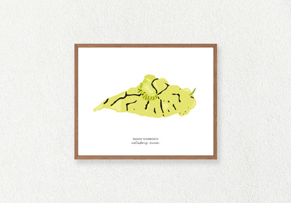 Sea Slug Solo Prints