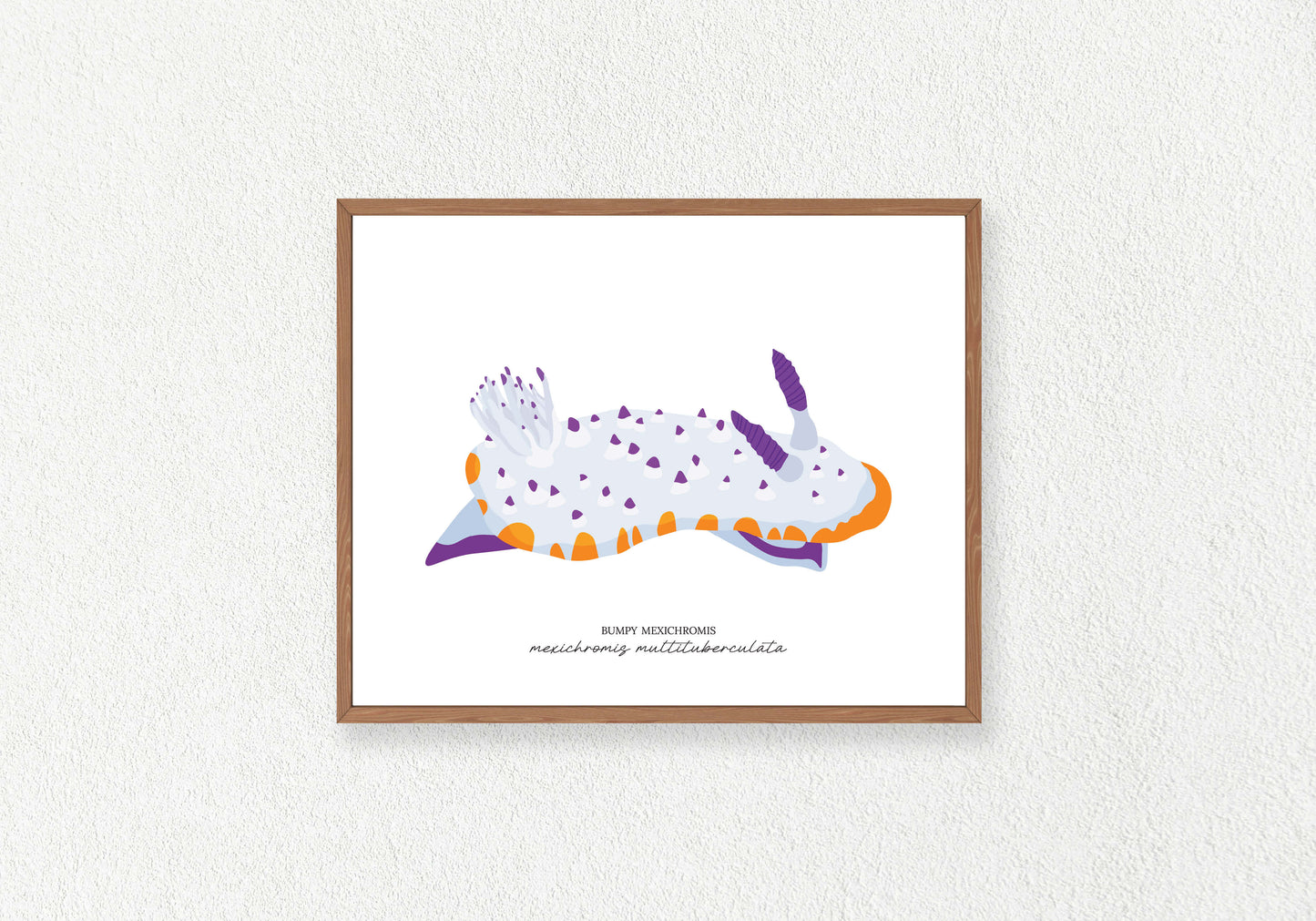 Sea Slug Solo Prints