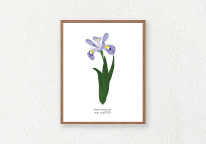 Flower Solo Prints