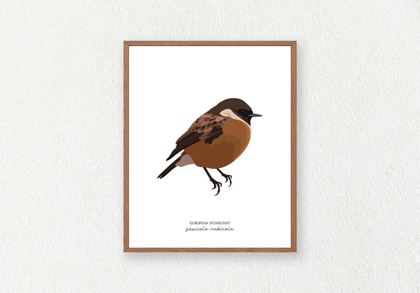 Bird Solo Prints