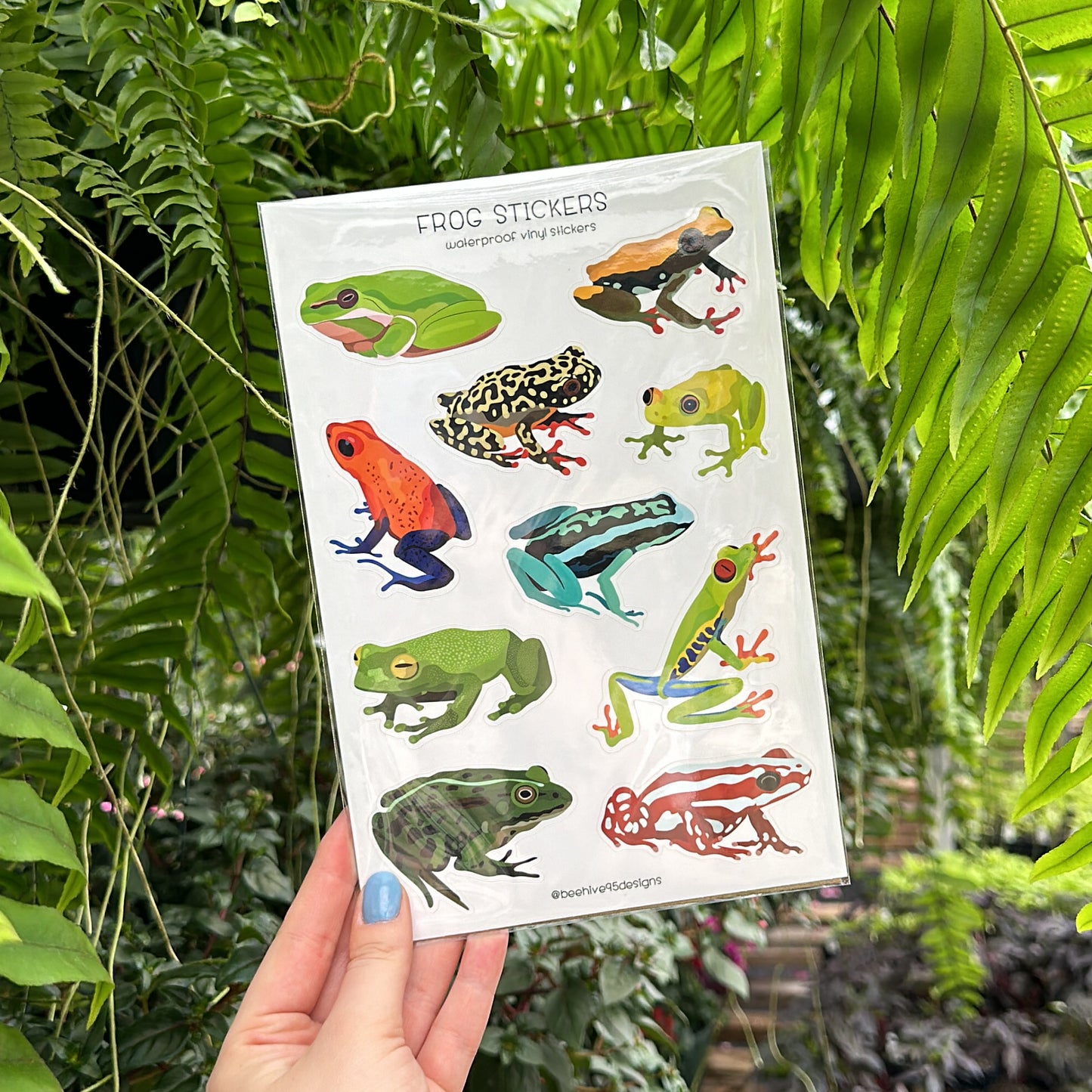 Frogs Vinyl Sticker Sheet