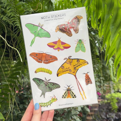 Moths Vinyl Sticker Sheet