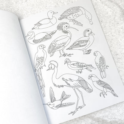 Flora & Fauna Coloring Book