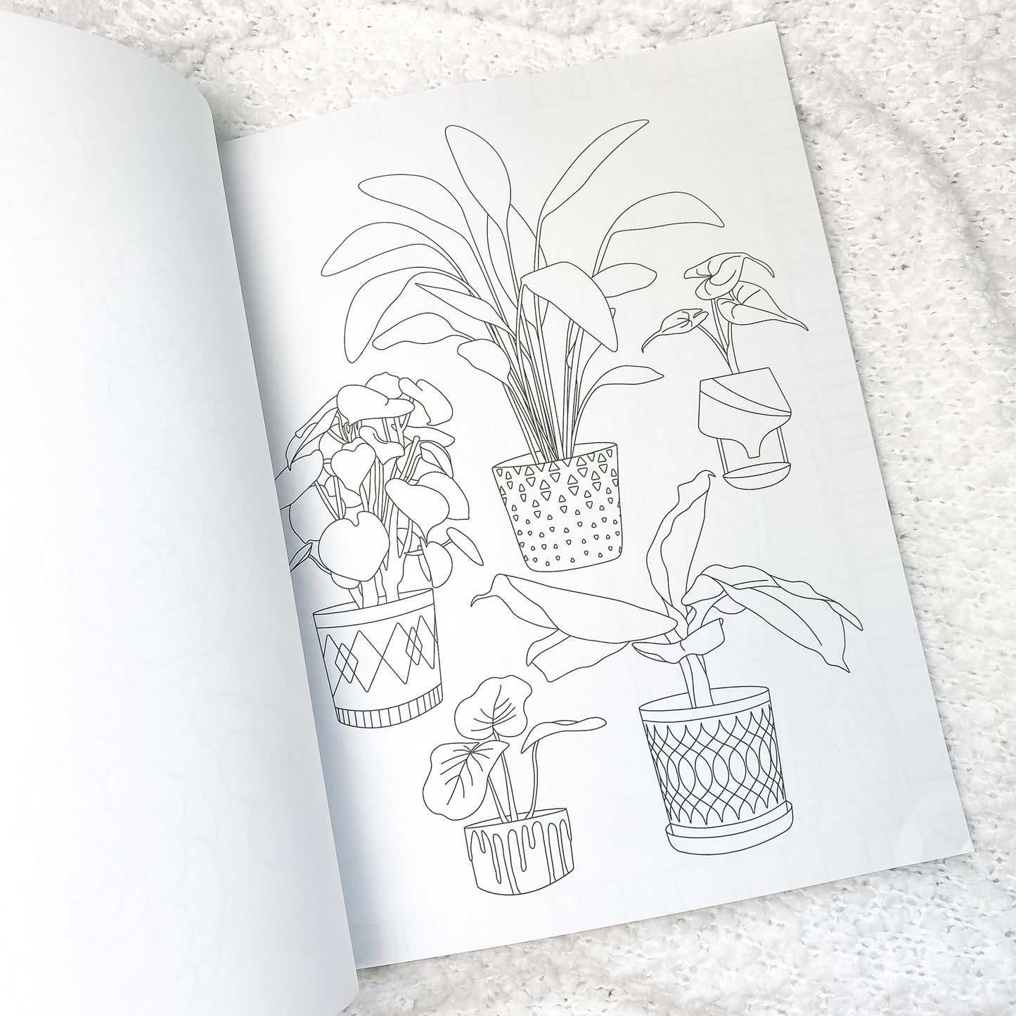 Houseplant Lover Coloring Book