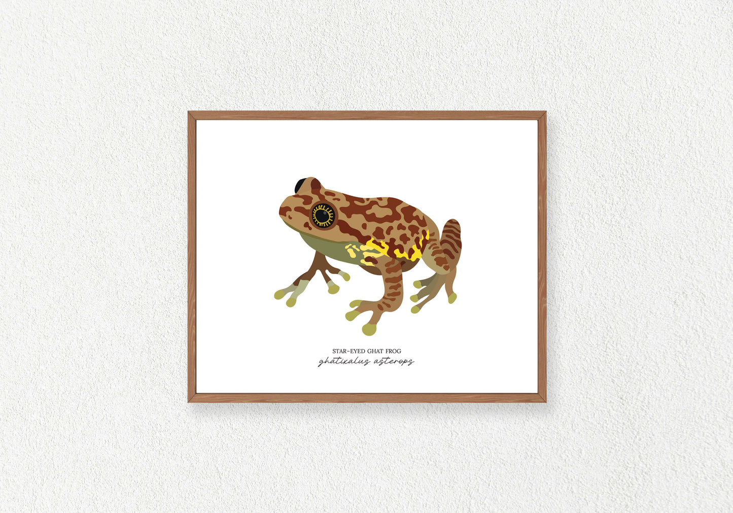 Frog Solo Prints