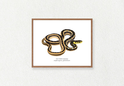 Snake Solo Prints