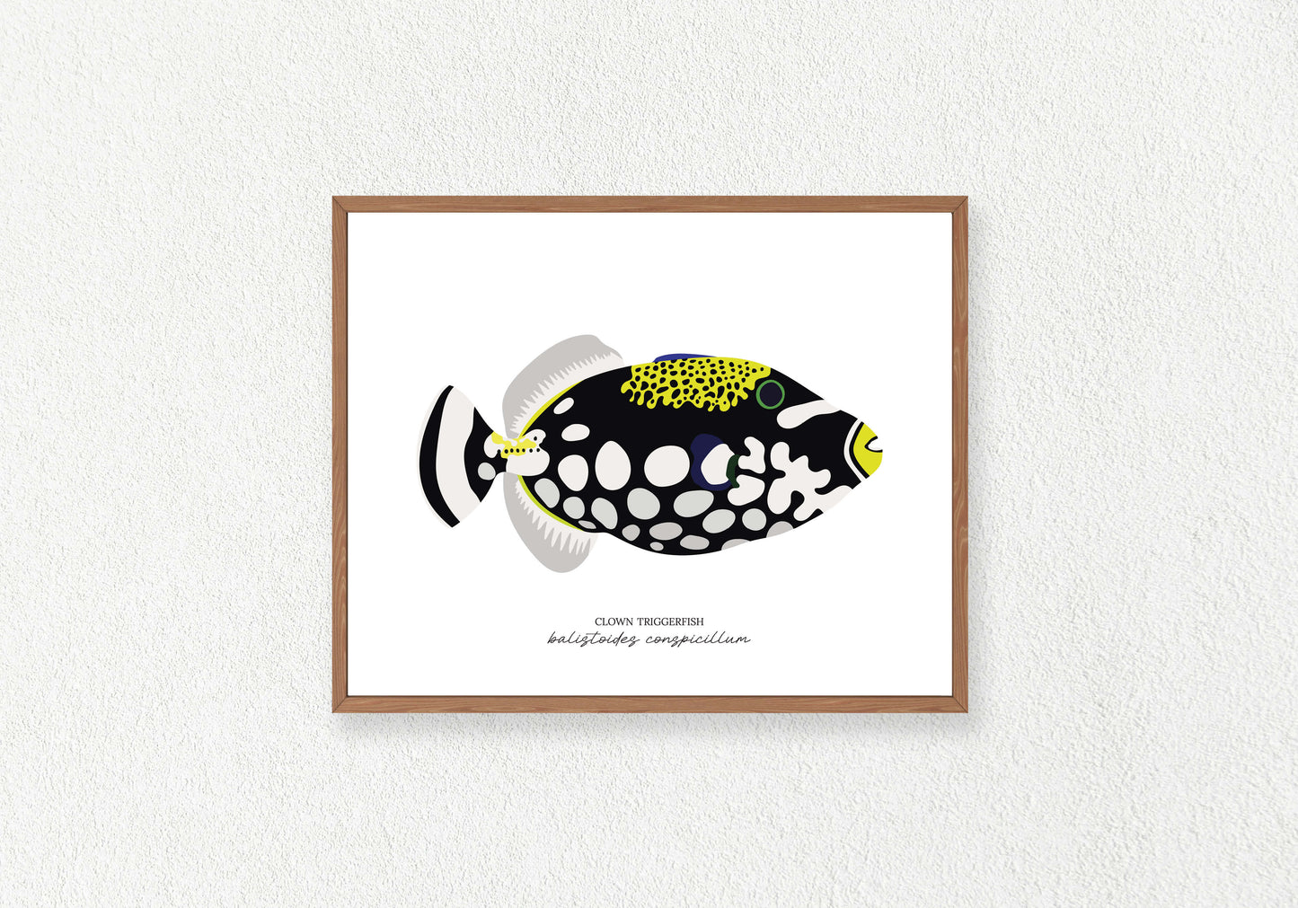 Fish Solo Prints