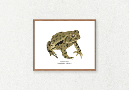 Toad Solo Prints
