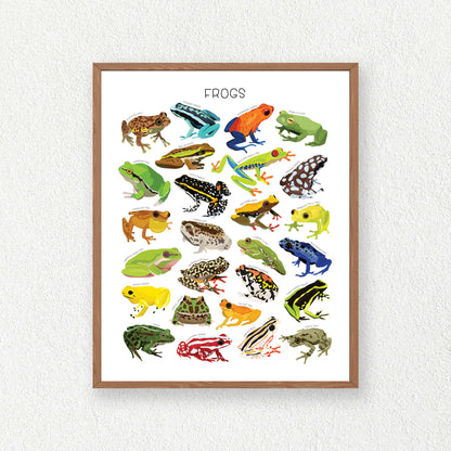 Frogs Print