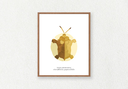 Beetle Solo Prints
