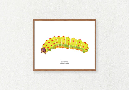 Caterpillar (Moth) Solo Prints