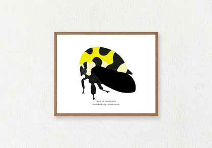 Hopper Insect Solo Prints