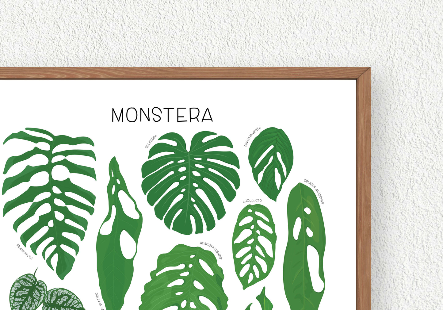 Monstera Print
