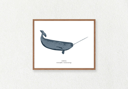 Whale Solo Prints