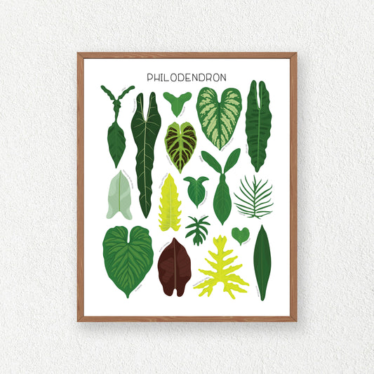 Philodendron Print
