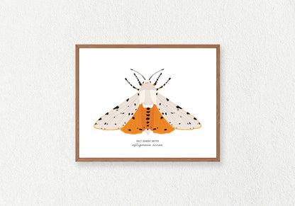 Moth Solo Prints