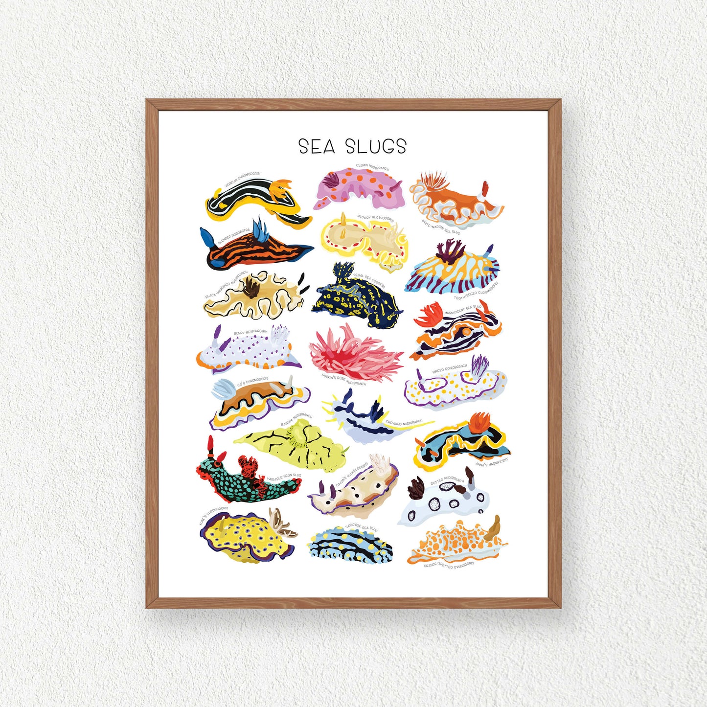 Sea Slug Print