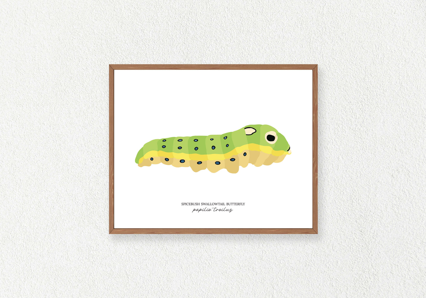 Caterpillar (Butterfly) Solo Prints
