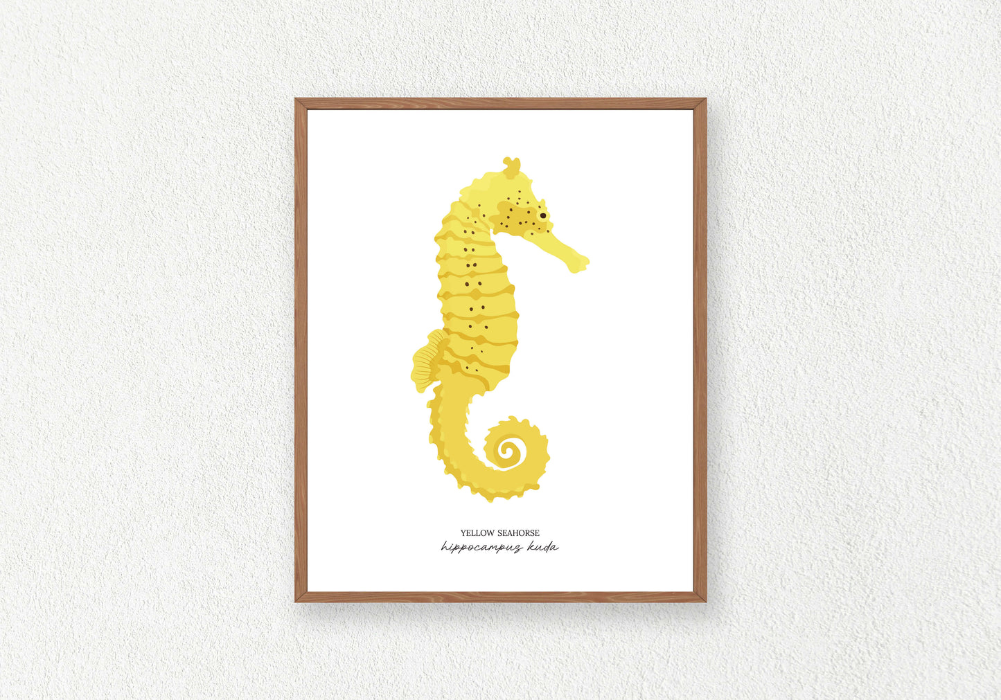 Seahorse Solo Prints