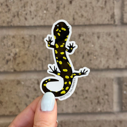 Spotted Salamander Vinyl Sticker