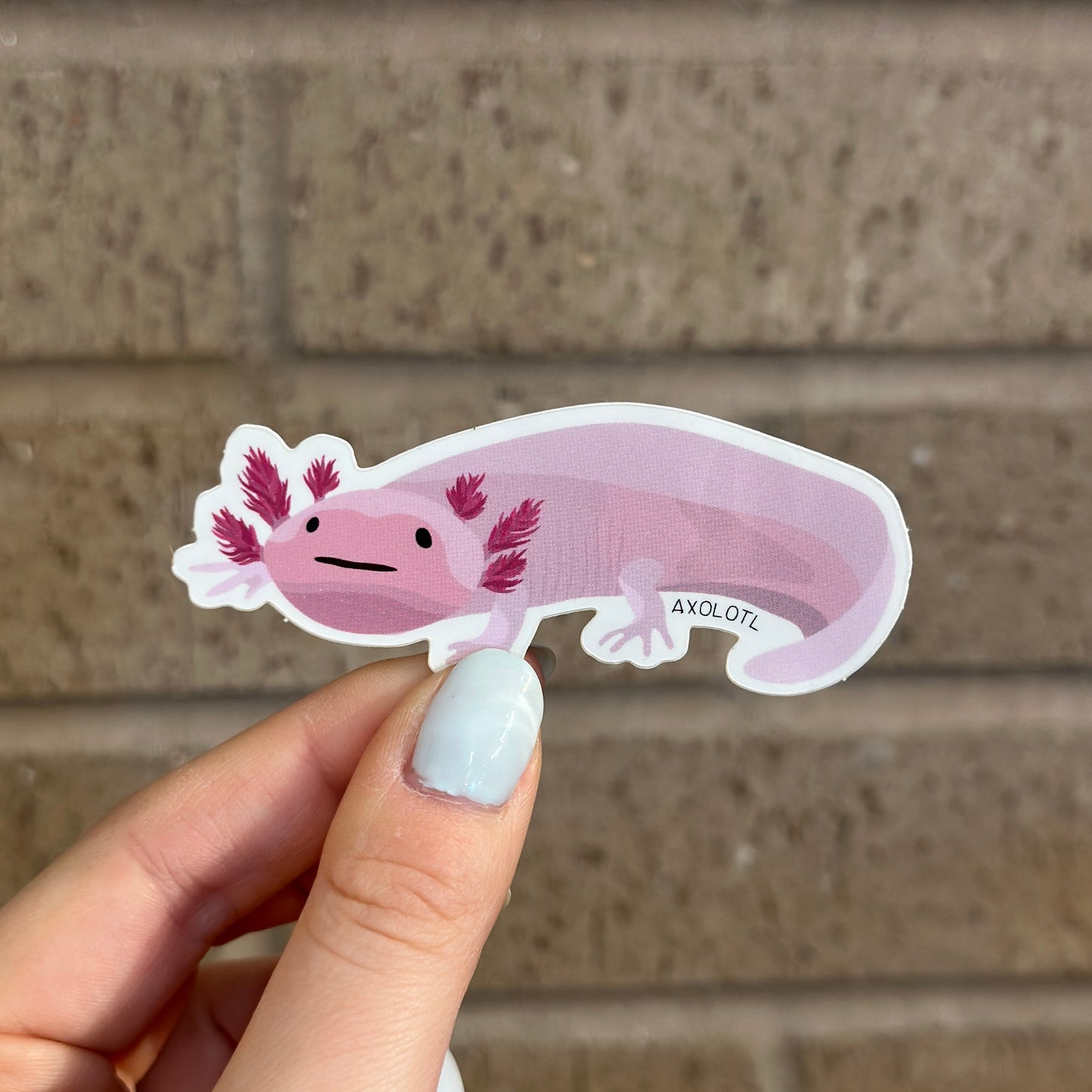 Axolotl Salamander Vinyl Sticker