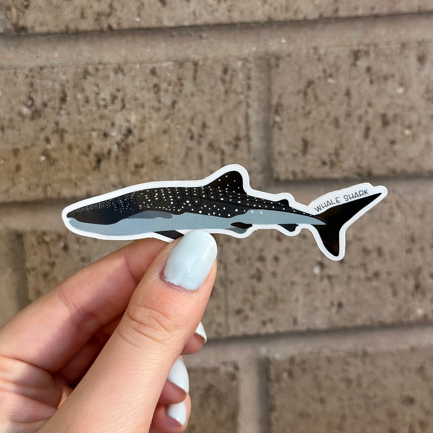 Whale Shark Vinyl Sticker