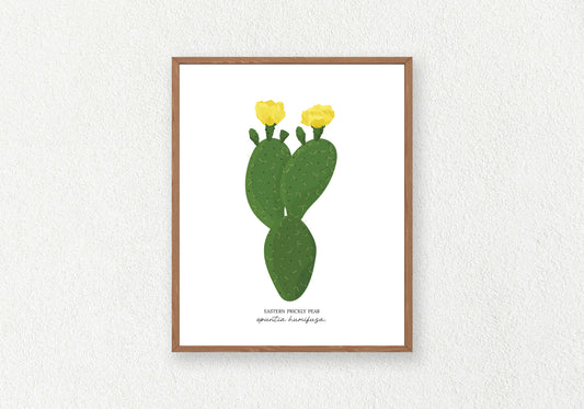 Cactus Solo Prints