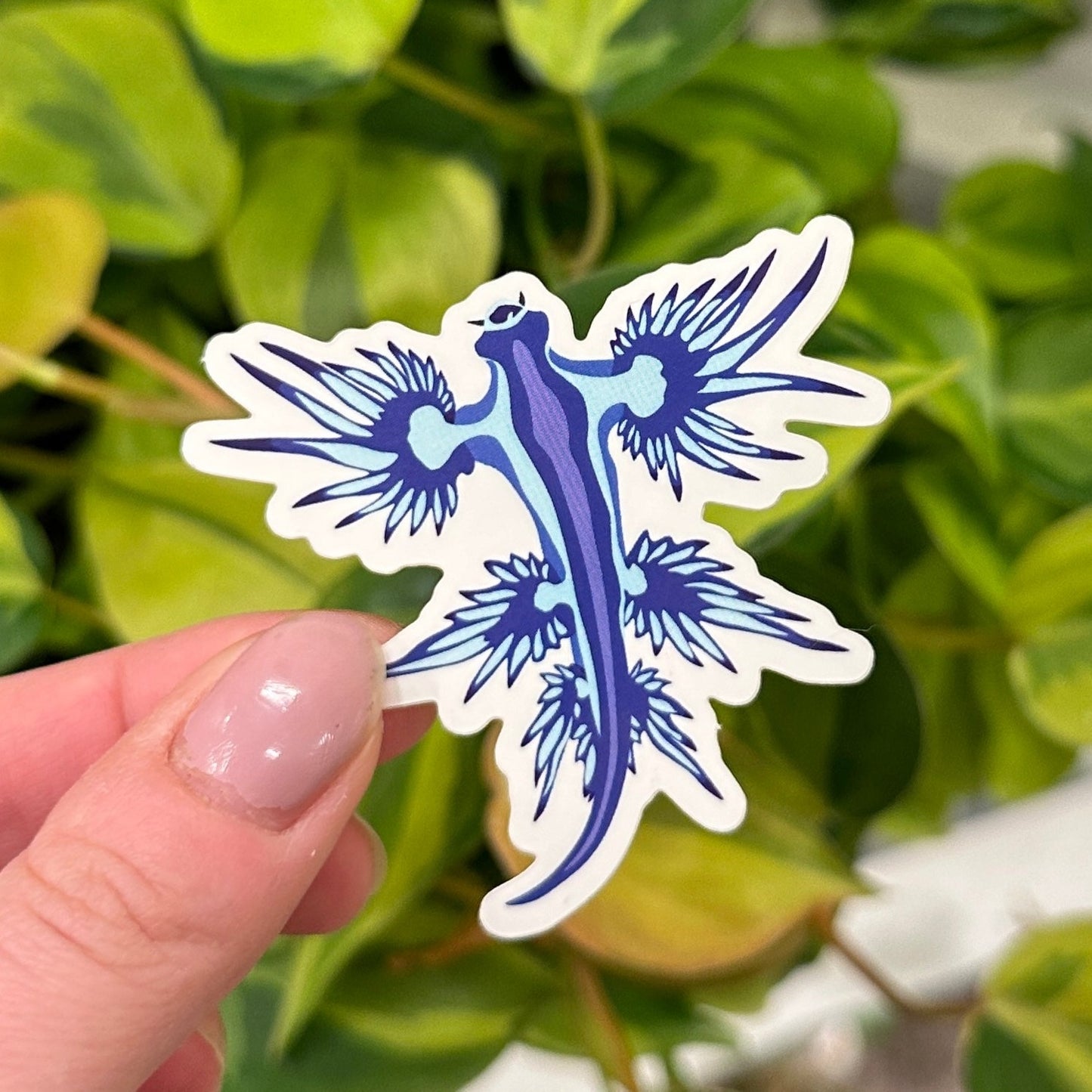 Sea Slug Vinyl Sticker