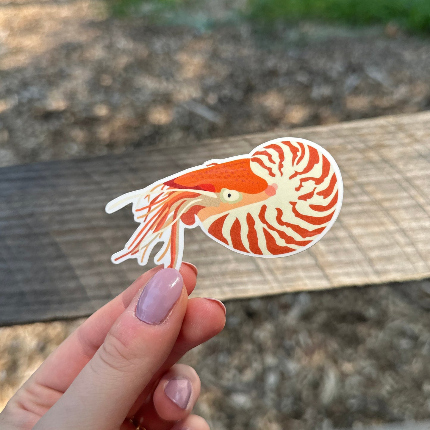 Nautilus Vinyl Sticker