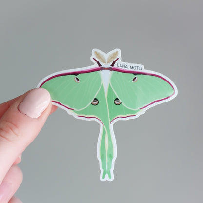 Luna Moth Vinyl Sticker