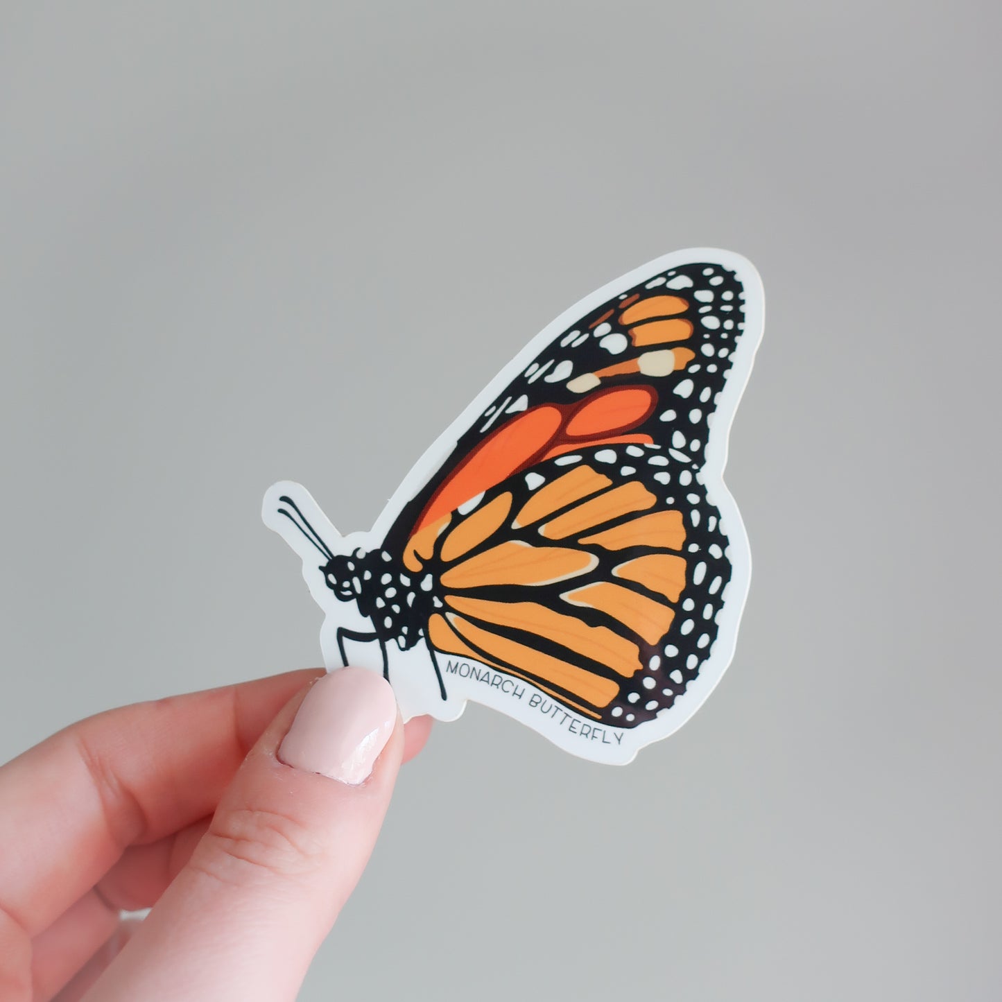 Monarch Butterfly Vinyl Sticker