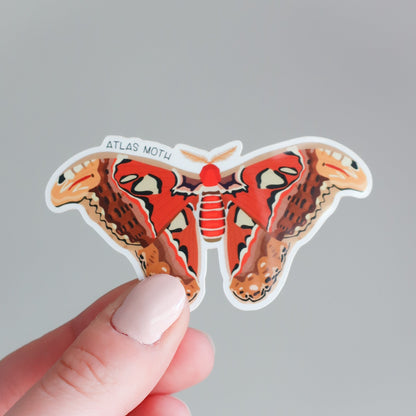 Atlas Moth Vinyl Sticker