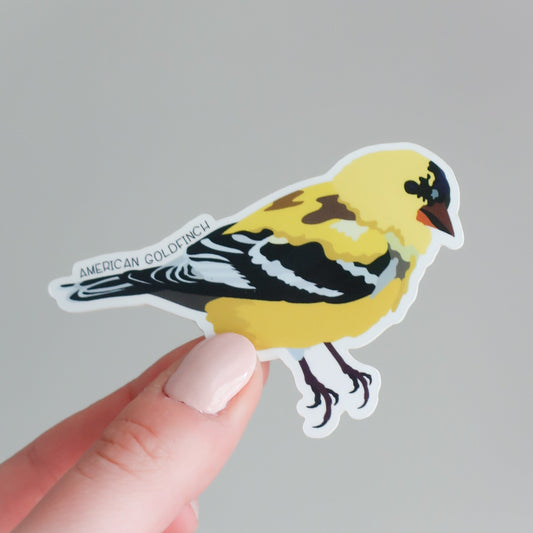 American Goldfinch Bird Vinyl Sticker