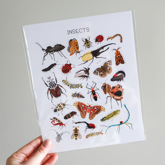 Insect Print (dark)