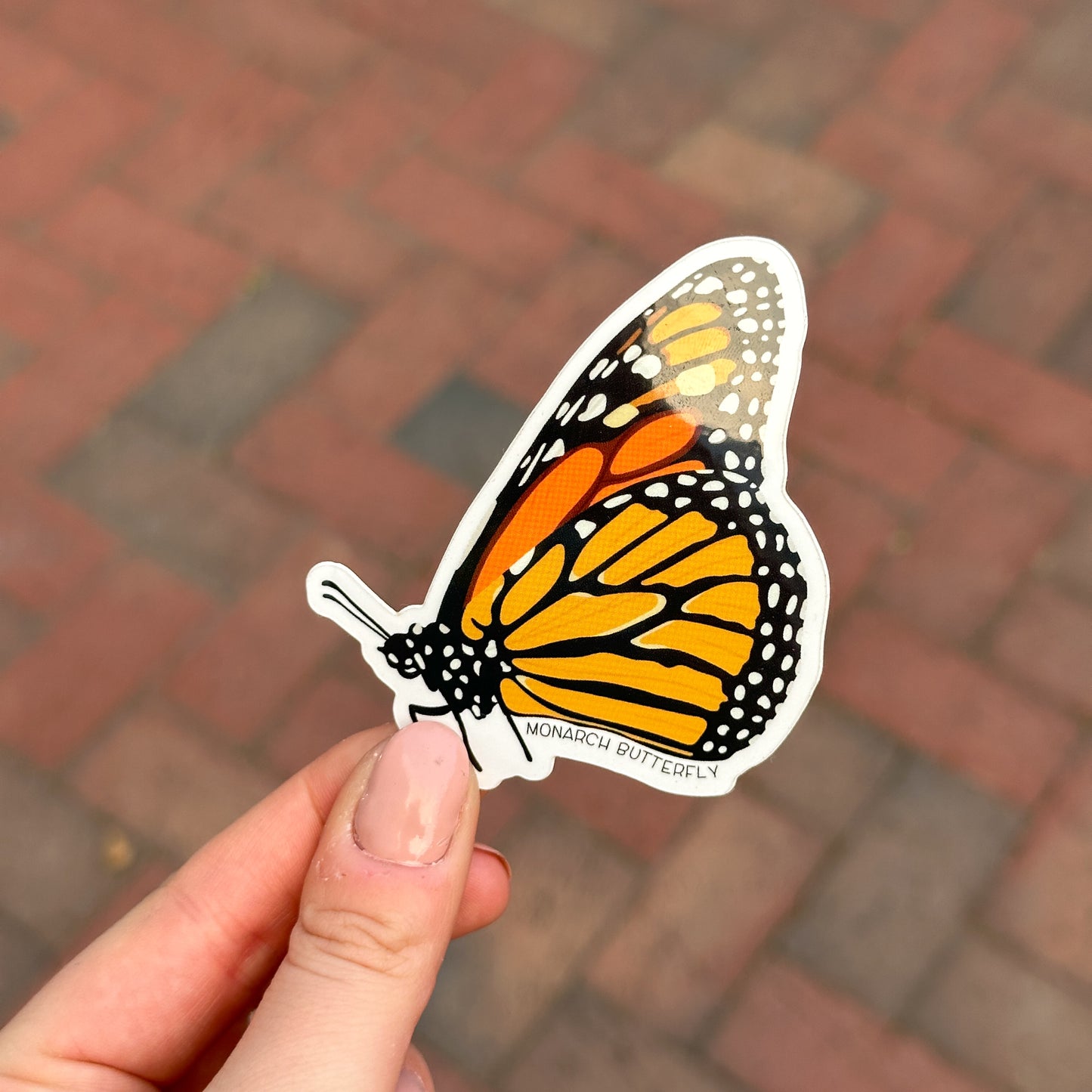 Monarch Butterfly Vinyl Sticker