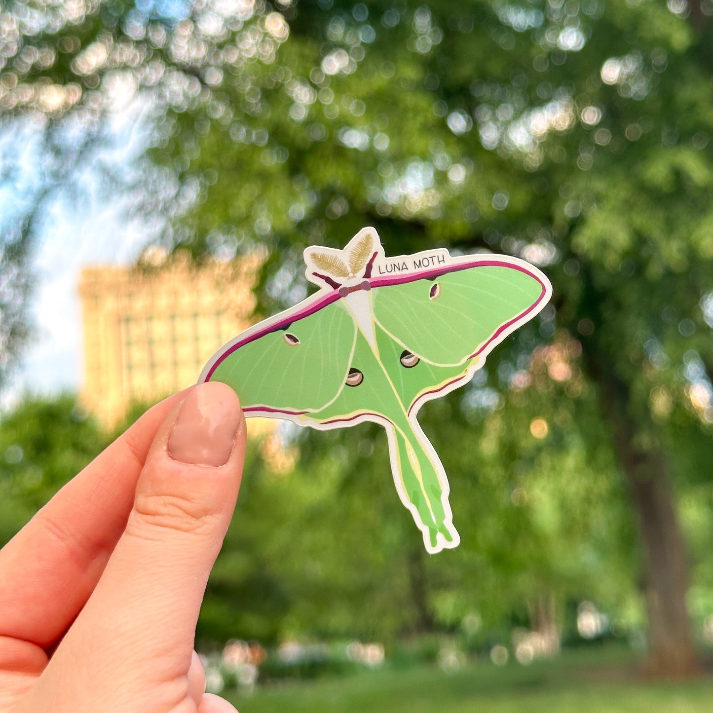 Luna Moth Vinyl Sticker