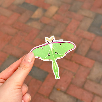 Luna Moth Vinyl Sticker