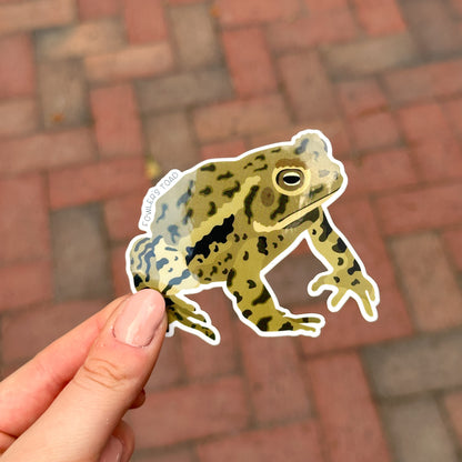 Fowler's Toad Vinyl Sticker