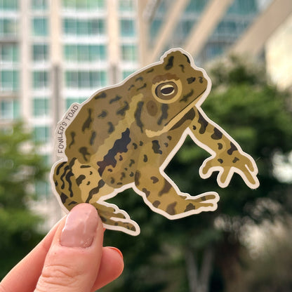 Fowler's Toad Vinyl Sticker