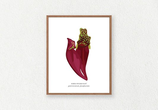 Carnivorous Plant Solo Prints