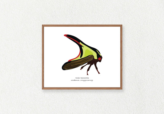 Hopper Insect Solo Prints