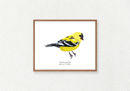Bird Solo Prints