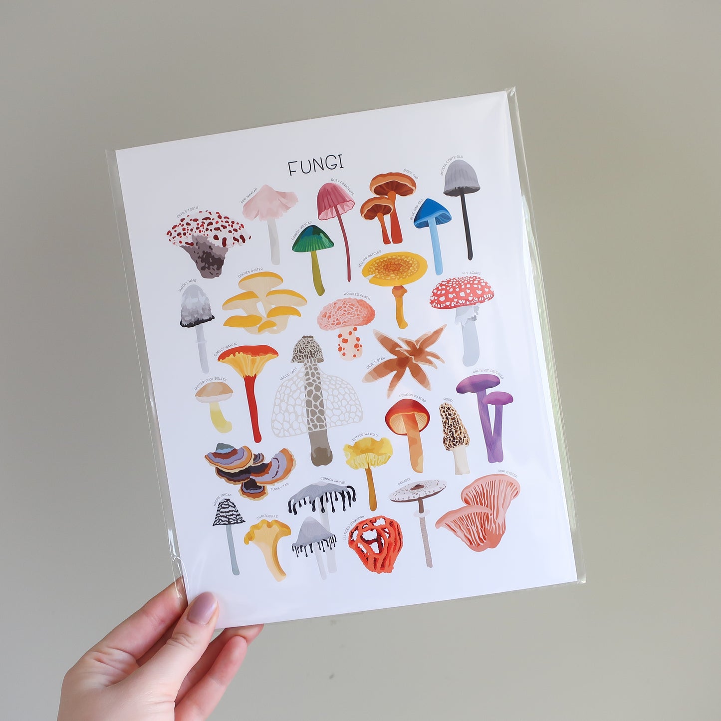 Fungi Print