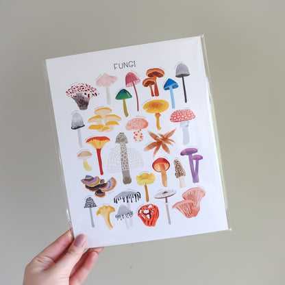 Fungi Print