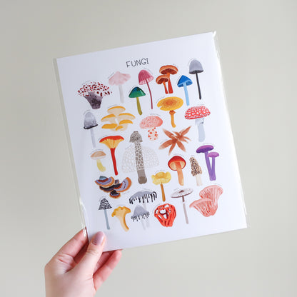 Fungi Print