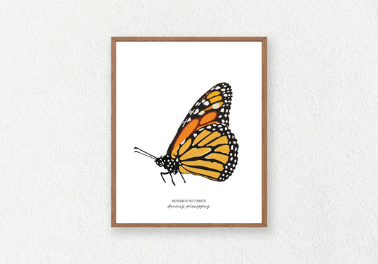Butterfly Solo Prints