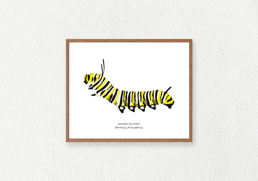 Caterpillar (Butterfly) Solo Prints