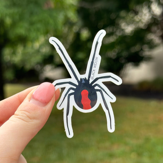 Black Widow Spider Vinyl Sticker