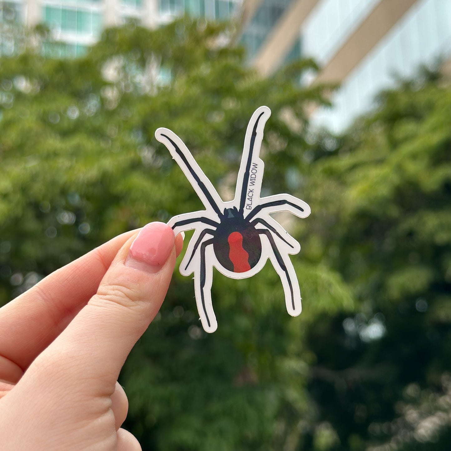 Black Widow Spider Vinyl Sticker