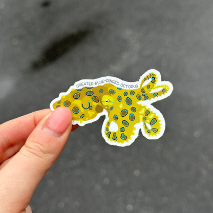 Greater Blue Ringed Octopus Vinyl Sticker